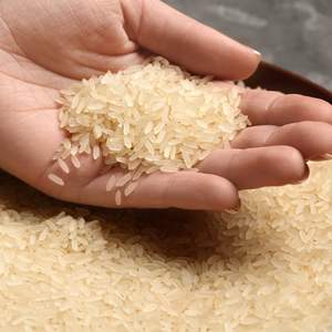 ข้าวสวยเกรดอาหารที่คัดสรรมาอย่างยั่งยืนมีรสชาติที่ดีเยี่ยมและคุณภาพของเมล็ดพืชเพื่อการบริโภคประจำวันที่ดีต่อสุขภาพ - Product Image 6