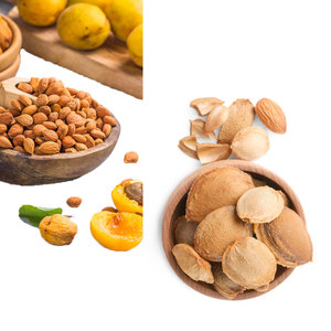 Granos de albaricoque amargo | Suministro global para la industria del cuidado de la piel y el aceite - Product Image 2