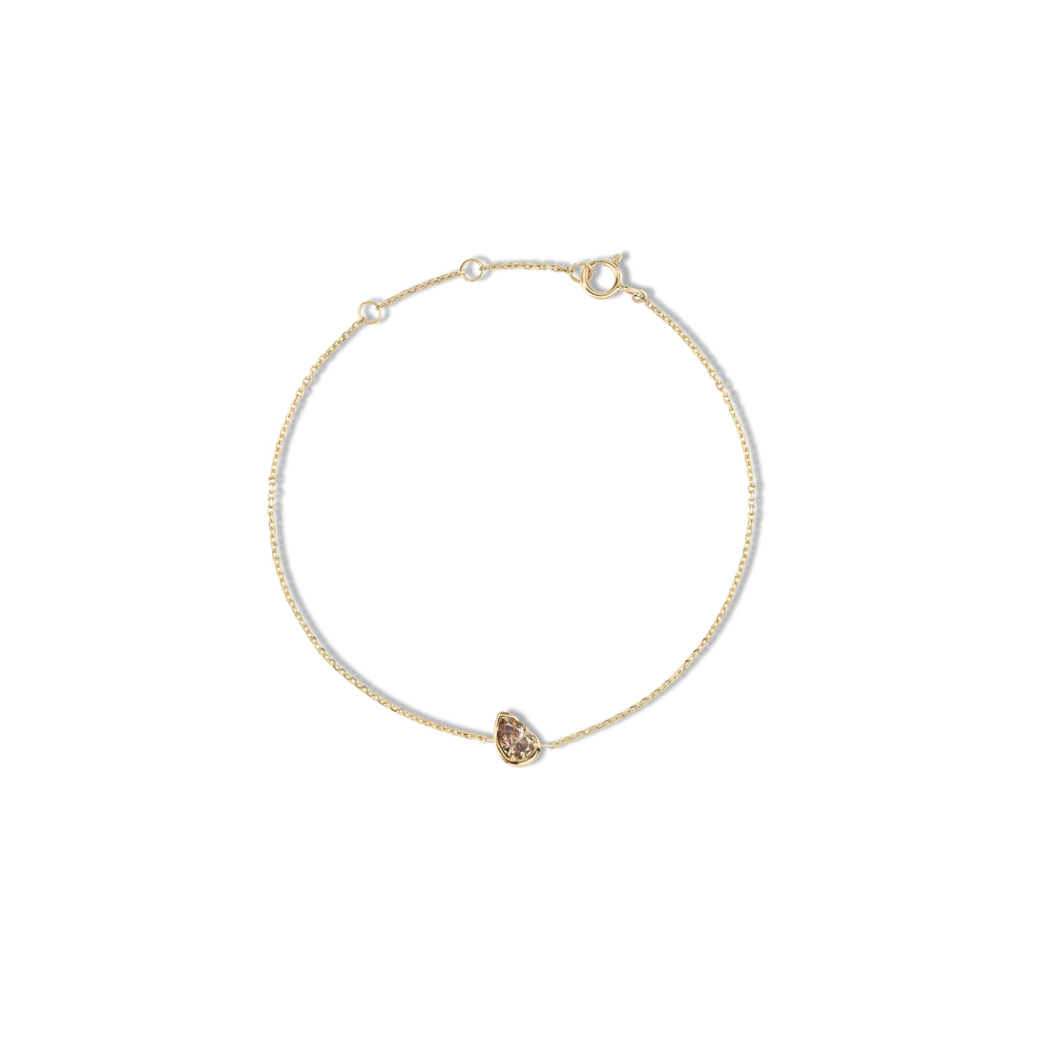 สีน้ำตาล ปลูกในห้องปฏิบัติการ