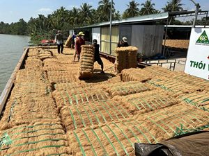 ใยมะพร้าวเนื้อมะพร้าวอบแห้งสำหรับสวนและพืช2025จากเวียดนาม - Product Image 3