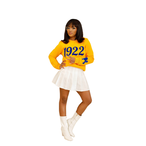 1922 Pretty Poodle Chenille sudadera suave Premium algodón cuello redondo con bordado griego hermandad SGRho ropa para mujer - Product Image 3