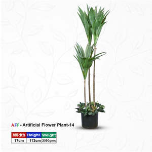 ต้นยูคาปลอมแบบสามก้านในกระถาง - Product Image 1