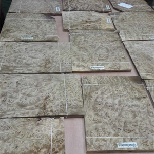 Exotic <strong>Golden</strong> Camphor <strong>Burl</strong> <strong>Veneer</strong> - Product Image 2