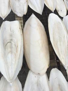 Cortador de alimentos para animais de alta qualidade, oem, lula, espinha de osso, peixe, cortador, gaiola de papagaio, suprimentos chinesas