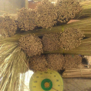 Chổi sàn, vườn, ngoài trời làm sạch tự nhiên và tinh khiết <span class=keywords><strong>Coco</strong></span> tre Gậy bán với số lượng lớn từ Việt Nam nhà máy - Product Image 2