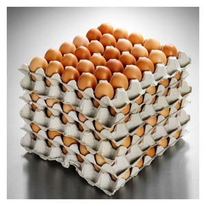 Œufs de poulet frais biologiques Source naturelle et saine de protéines Idéal pour la cuisson au four et une alimentation quotidienne équilibrée - Product Image 2