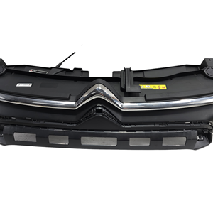 Mascherina Anteriore CITROEN C3 Serie 9833503480 (16>) - Product Image 2