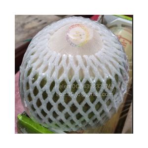 มะพร้าวปอกเปลือกอ่อนมะพร้าวปอกเปลือกผลไม้สดทั้งก้อนมะพร้าวปอกเปลือกผลไม้สดมะพร้าวปอกเปลือกทั้งหมดราคาดีจากเวียดนาม - Product Image 1