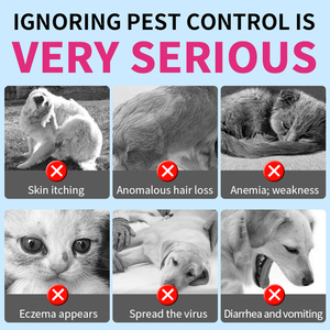 Supplément de vermifuge à base de plantes probiotiques naturels doux à mâcher pour chiens et chats, absorption rapide, sûre et douce - Product Image 5