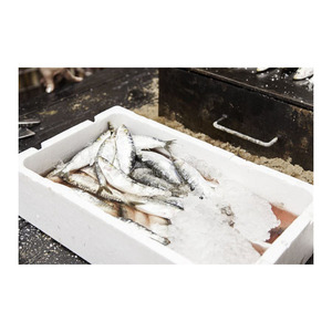 Sardines fraîches en gros en stock, fraîcheur supérieure et qualité export. - Product Image 2