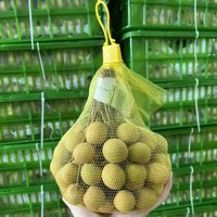 Premium kwaliteit Vietnamese verse longan - zoet tropisch fruit voor export, verpakt in plastic zakken (2-12kg), 2 weken houdbaarheid