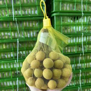 Premium Quality Vietnam Fresh Longan - <b>Sweet</b> Tropical Fruit for Export - Product Image 5
