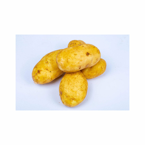 100% Organic Yellow Long Style <b>Fresh</b> <b>Sweet</b> <b>Potatoes</b> High Quality European Produce Best Price - Product Image 5