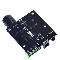 Module de carte amplificateur audio numérique à double puissance RNSbot 12v classe D PAM8610