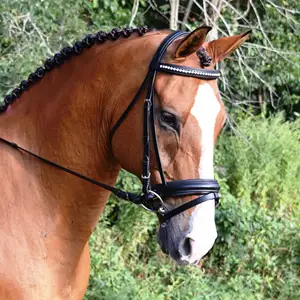 Vera pelle alla moda cavallo briglia di cavallo in pelle Deluxe briglia cavallo briglia miglior pelle genuina di alta qualità