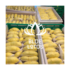 PREMIUM FROZEN DURIAN BEST SELLER DE BLUE LOTUS FARM CON ALTA CALIDAD GRAN SABOR Y DISPONIBLE PARA EXPORTACIÓN - Product Image 1
