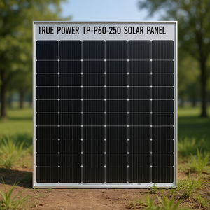 Panneau solaire True Power TP-P60-250 - Product Image 3