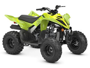 ยอดขายประจำปี 2026 Raptors 110 Sport YFM70RCCSG รถมอเตอร์ไซค์ใหม่ - Product Image 3