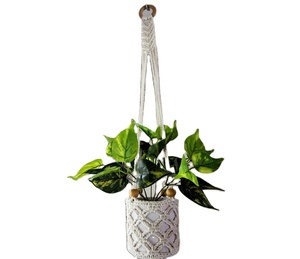 Crochet plante cintre motif personnalisé macramé plante cintre pour mur et fenêtre décoration - Product Image 1