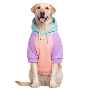 Cotton Candy Colorblock Dog Hoodie Soft Fleece Pet <b>Sweatshirt</b> With Hood Cozy Warm Pullover Winter Wear For Small Medium Dogs - Product Image 1