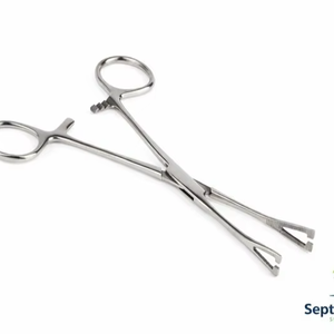 Stainless Steel Allis Tissue Forceps Surgical Instrument with <b>Ratchet</b> Lock - Product Image 4