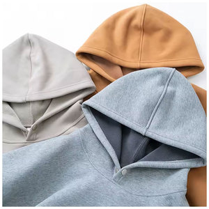 Sudadera con Capucha de Alta Calidad para Hombre, Tallas Grandes, Personalizable, Lisa, 400GSM 500GSM 600GSM, Felpa de Algodón Grueso - Product Image 2