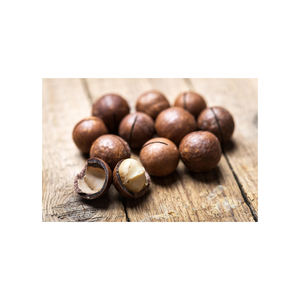 Noix de macadamia de qualité supérieure, vente en gros, prix bas, noix nutritives - Product Image 4
