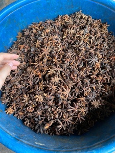 Spring Dry Star Anise-Grado B-Precio barato-Color natural - Product Image 3