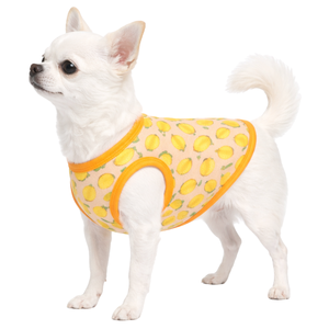 Gilet de refroidissement pour chien, chemise de refroidissement pour animaux de compagnie, respirante, légère, tissu glacé, gilet de soulagement de la chaleur - Product Image 3