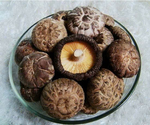 Champignons Shiitake entiers séchés 100% purs de qualité supérieure en provenance de Binh Thuan, Vietnam |   Vente en gros de champignons naturels - Product Image 1