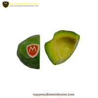 De Premium Kwaliteit Bevroren Avocado Pulp Oorsprong Vietnam