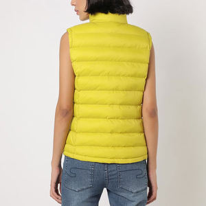 Nouveau gilet matelassé pour femme, hiver, printemps, automne, toutes les couleurs, rembourré, chaud, sans manches, veste légère, gilet matelassé personnalisé - Product Image 3