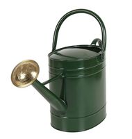 Bidon d'eau/pot en étain galvanisé naturel pour la décoration de jardin à la maison Arroseur intelligent Fournitures pour la maison et le jardin Arrosoir en métal