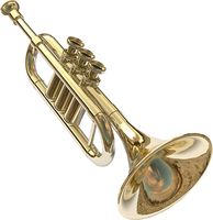 Stylish Brass Bugle Horn With Artistic Look Suitable For Musical Parades Wedding Celebrations And Outdoor Events