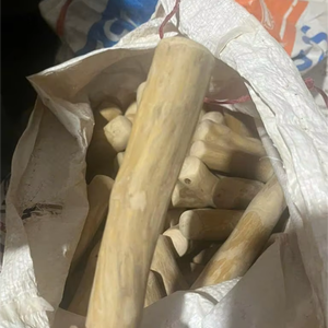 Venta al por mayor perro de madera masticar respetuoso con el medio ambiente palo duradero para perros - Product Image 1