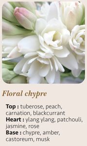 Vela Aromática Floral Chypre de Lujo, Hecha a Mano, 15cl, con Logotipo Personalizado, Cera Mixta en Cilindro, Hecho en Francia - Product Image 5