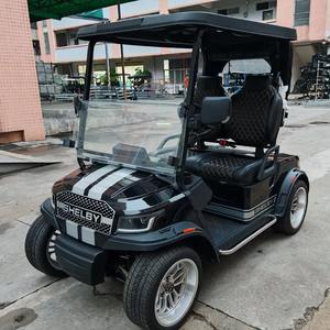 Voiture électrique moderne à 2 places, batterie au lithium 48V |   Vitesse de plus de 70 km/h, autonomie de 50 à 70 km, certifié EEC/GCC/DOT/CE pour le transport en milieu fermé - Product Image 3