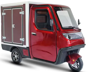 Coches Eléctricos Listos para Entrega, Coche Eléctrico para Adultos, Triciclo Eléctrico Barato, Coche Eléctrico con Homologación EEC para Carretera, Coche Eléctrico de Carga - Product Image 2