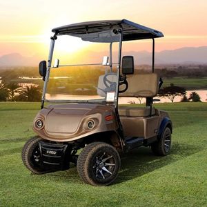 Chariot de golf de luxe à 2 places Chariot de golf à 2 places | Chariot de golf électrique compact | Chariot de golf élégant pour un usage personnel - Product Image 5