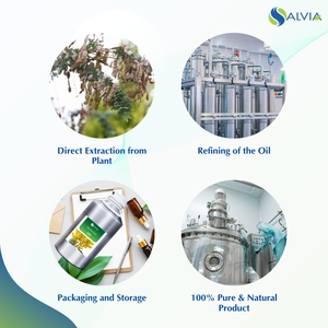 Huile de graines de mimosa 100% pur et naturel en gros en vrac prix le plus bas emballage personnalisé - Product Image 4