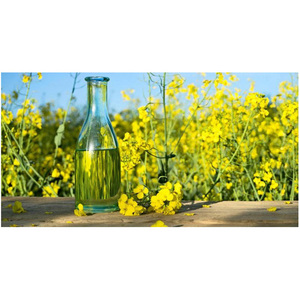 100% Purity Canola Oil Refined Grade a US Origin Fractionated Cooking Raw Material Bulk <b>Packaging</b> - Product Image 4
