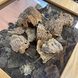 Top Selling Oud Incense Wood <b>Beads</b> <b>Direct</b> From Vietnam Oud Wood Chips Naturally Pure Wood Incense - Product Image 2