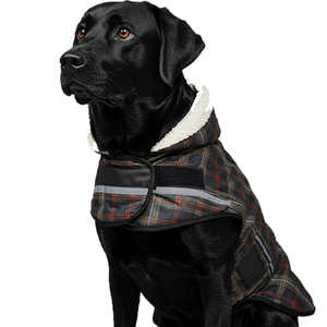 Veste d'hiver pour chien mignonne en polaire bleu uni en coton/polyester écologique pour chiens de grande et moyenne taille - Product Image 5