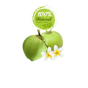 Noix de coco fraîche vietnamienne délicieux produit agricole de la ferme à la table - Product Image 4