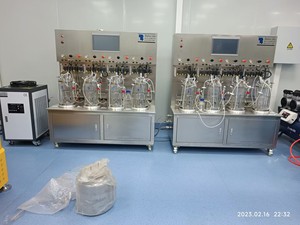 Biorreactor de laboratorio Bailun 5L, biorreactor de vidrio con agitación magnética utilizado para sustrato para fermentación en el momento de la fermentación - Product Image 3