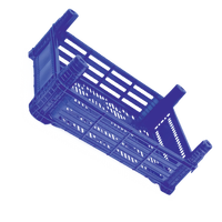 DPK15 Assiettes et bols élégants en plastique 40x30x15cm – Rangement et service pratiques pour fraises – Caisse premium pour dinde
