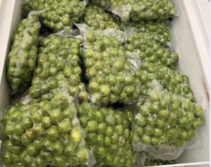 Fruta congelada Dracontomelon congelado Fruta verde IQF Envasado al vacío - Product Image 5