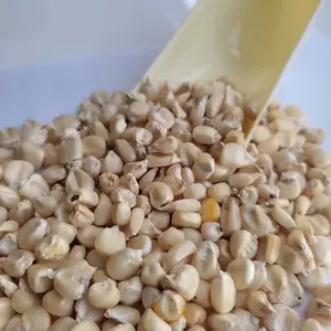 MAIZ BLANCO/MAIZ Blanco Seco Maíz Blanco/Maíz, Apto para Consumo Humano y Animales - Product Image 2