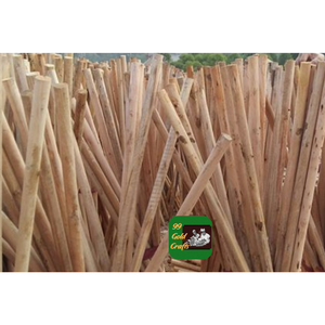 Bois d'eucalyptus scié pour l'utilisation en usine, la fabrication de meubles, la construction et l'exportation - Product Image 2