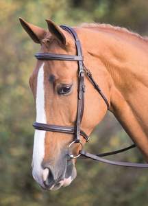 Vente en gros de nouvelle bride en cuir de cheval de haute qualité en noir bride en cuir de cheval de qualité supérieure en marron - Product Image 5